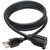 simpson_eagle_powercord__02295.jpg