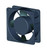 sce-cf4__29070.jpg