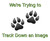 Were Trying to Track Down an Image-01.jpg