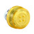 hw1z-p1f2pq4y__94550.jpg