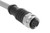 schmersal_a-k8p-m12-s-g-10m-gy-1-x-a-4__31582.jpg