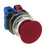 ayd3111nur_4__57024.jpg