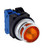 idec_alfd_amber_2__52549.jpg