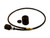 baumer_fue_050a1011__79085.jpg