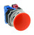 abd311nur__45822.jpg