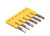 Wieland_Z7.280.6627.0_Primary.jpg