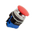IDEC_30871_00_Primary.png
