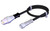 Eucchner_095005_Primary.jpg