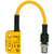 Pilz_541353_Primary.png