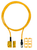 Pilz_541114_Primary.png