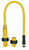 Pilz_506227_Primary.png