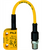 Pilz_541153_Primary.png