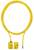 Pilz_504226_Primary.png