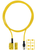 Pilz_541014_Primary.png