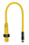 Pilz_526126_Primary.png