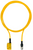 Pilz_541064_Primary.png
