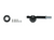 Pilz_570461_Primary.png