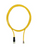 Pilz_6D_27_Primary.png