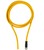 Pilz_c1_63_Primary.png