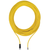 Pilz_540321_Primary.png
