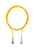 Pilz_533180_Primary.png