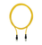 Pilz_570358_Primary.png