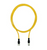 Pilz_570358_Primary.png