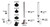 menics-pre-mountoptions_3__75238.jpg