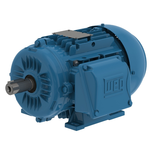 WEG_W22_80_TEFC_Primary.png