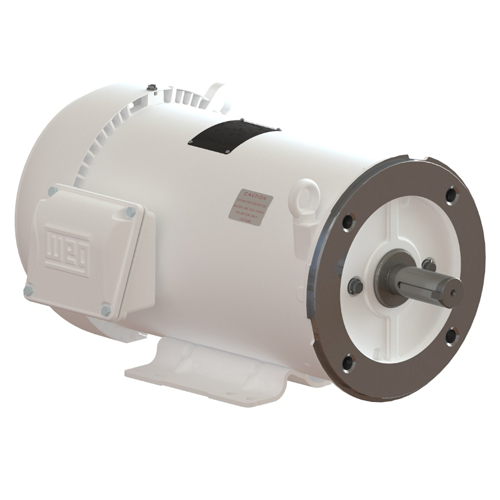 WEG_HyrdoWash_254_6TC_TEFC_FootMounted_Primary.png