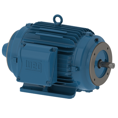 WEG_W22_213-5TC_TENV_FootMounted_Primary.png