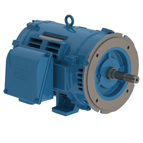 WEG_W40_284JM_ODP_Foot_Mounted_Primary.png