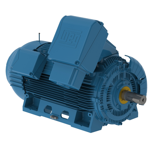WEG_W50_5009_10_TEFC_FootMounted_Primary.png