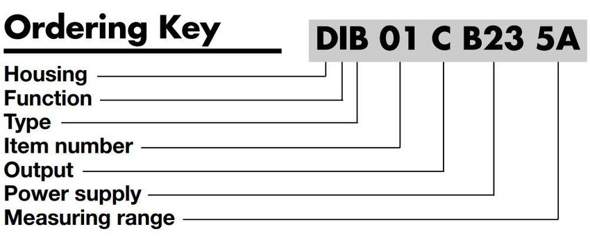 cg_dib-pib01_partbuild__28967.jpg