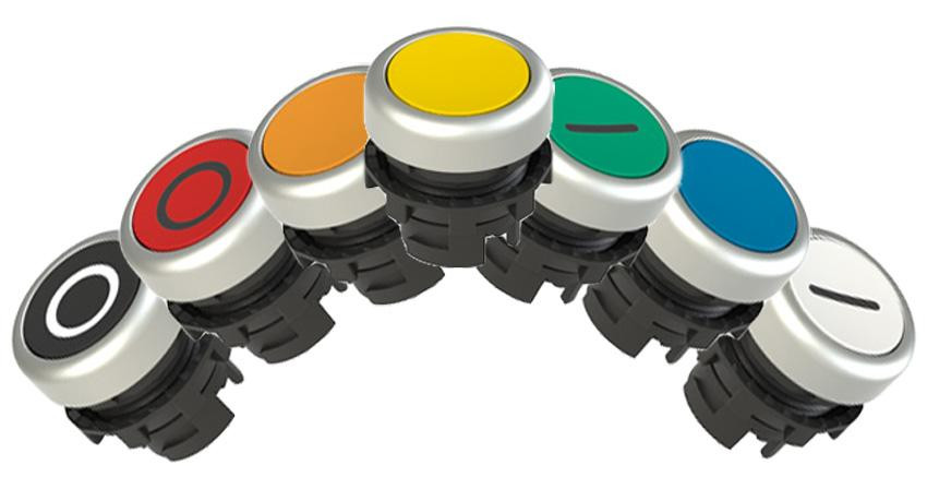 pizzato-e21p-flush-pushbutton-general__56973.jpg