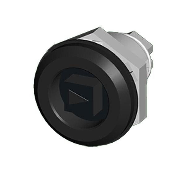 sce-minq6ms__13613.jpg