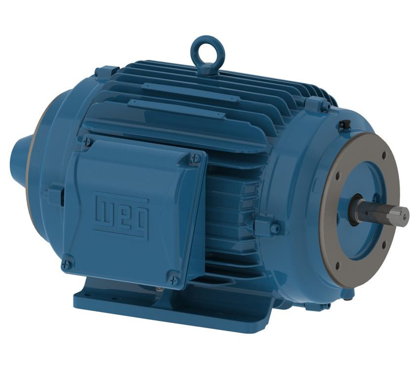 weg-vectorduty-3ph_2_1__82442.jpg