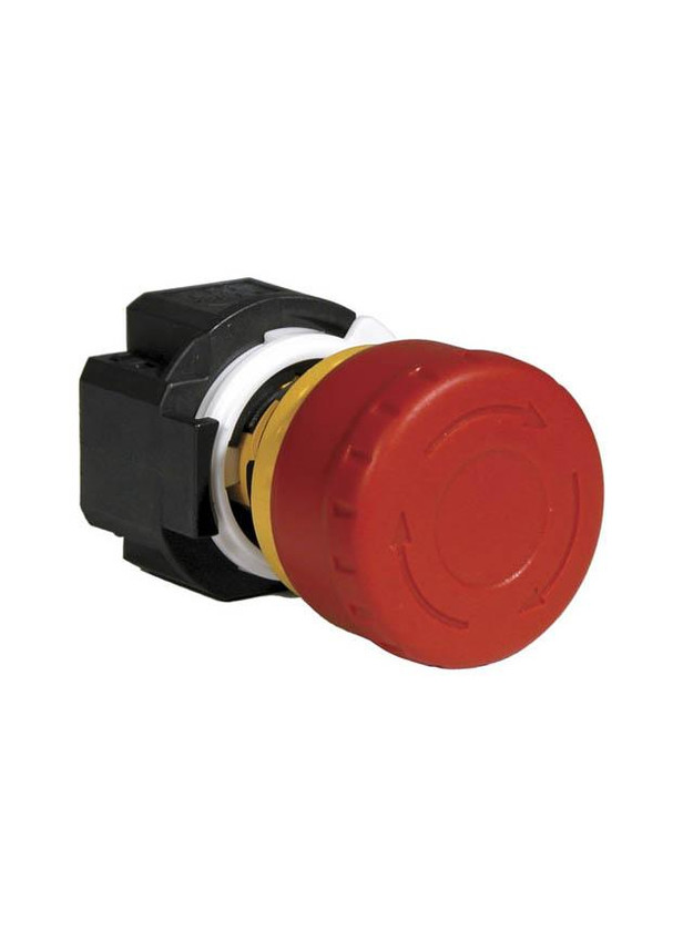 xw1e-bv3_870x630_8__88882.jpg