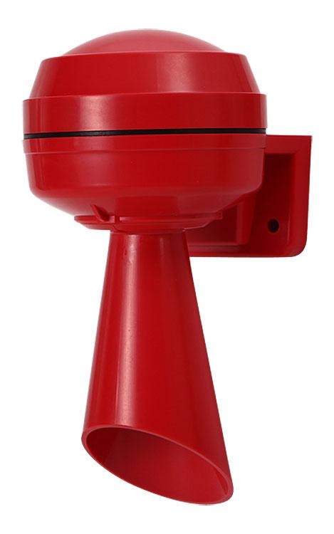 mw86n-rhorn__01463.jpg
