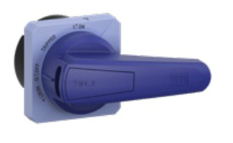 WEG_MRXL_Short_Blue_Primary.png