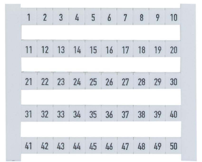 Pilz_312959_Primary.png