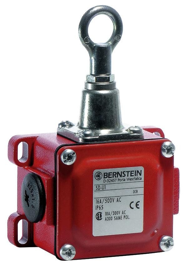 6111431069 Bernstein Switches, General