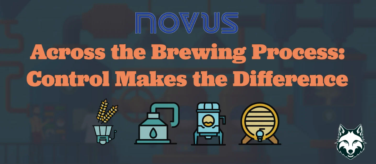 Novus Knows Breweing