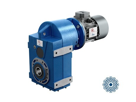 Shaft mounted gear reducer