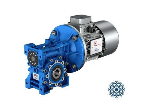 Worm gear reducers VSF