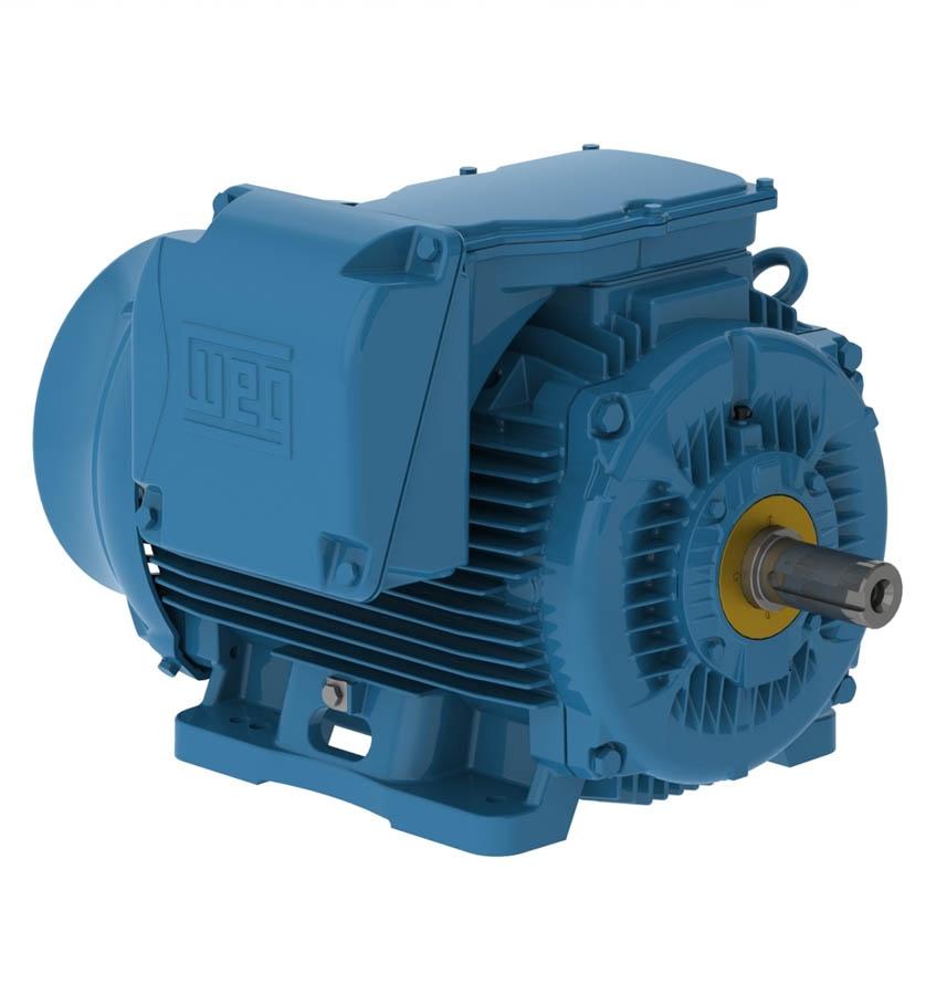 40018ET3GKD580Z-W22 Weg Motors