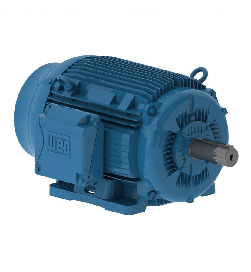 メル2 07518ET3E365T-W22 Weg Motors
