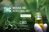 THC: Exploring Its Medicinal and Recreational Uses