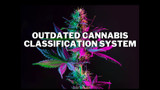 Outdated Cannabis Classification System