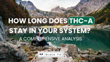 How Long Does THC-A Stay in Your System? A Comprehensive Analysis